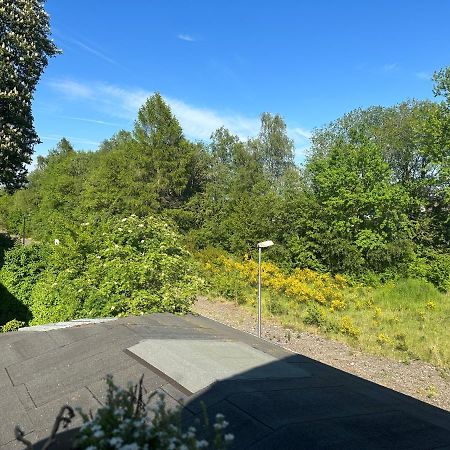 Das Nest, Opional Mit Sauna Und Whirlpool Dahlem  Exteriör bild